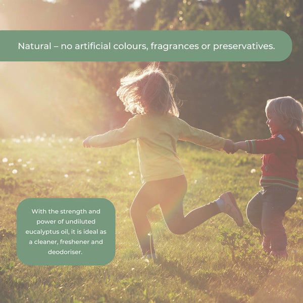 Bosisto's Commercial Eucalyptus Oil Cleaner Natural Floor Kitchen Bathroom 4L