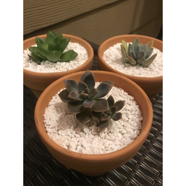 Organic Perlite Premium Soil Expanded Plant Growing Drainage Super Coarse 20L