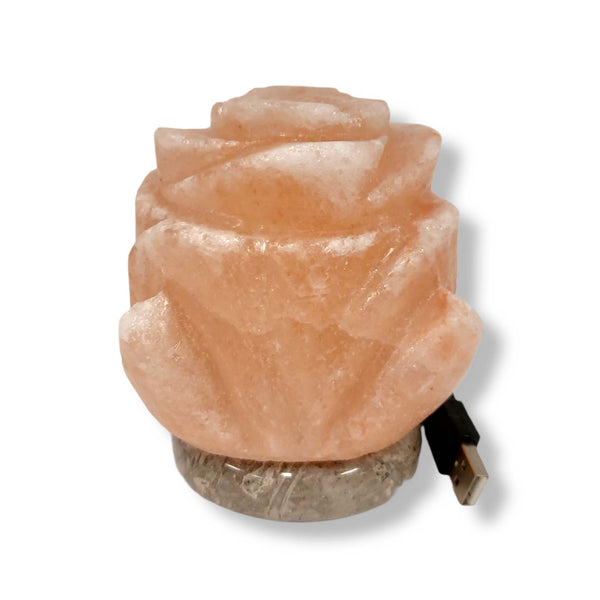 USB Himalayan Salt Lamp Colour Changing Flower Shape Rock LED Light