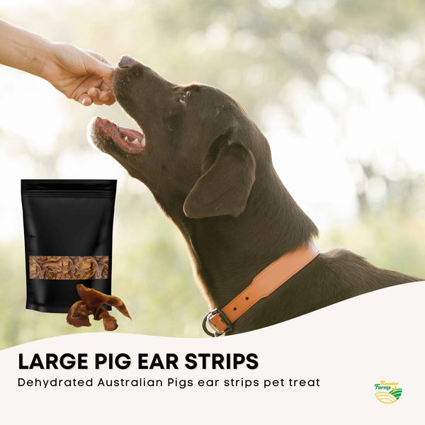 Pig Ear Strips Puppy Treat Chew Dehydrated Australian Healthy 400g