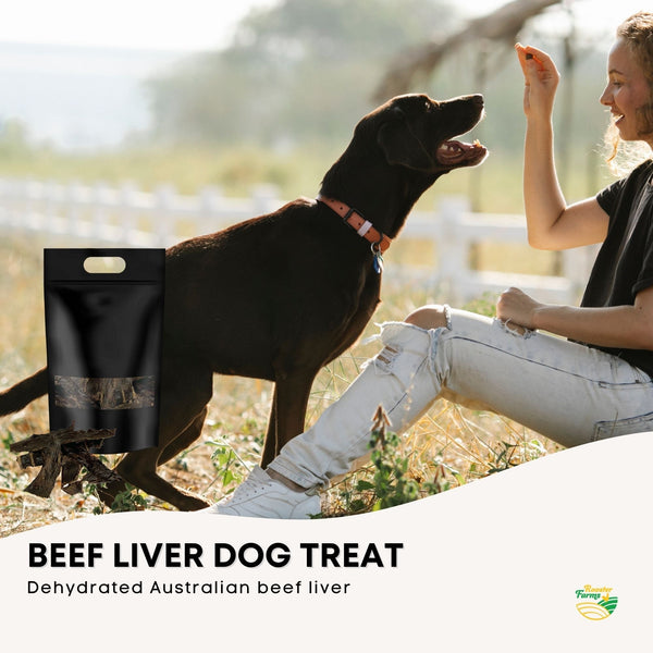 Beef Liver Dog Puppy Treat Chew Dehydrated Australian Healthy 2kg