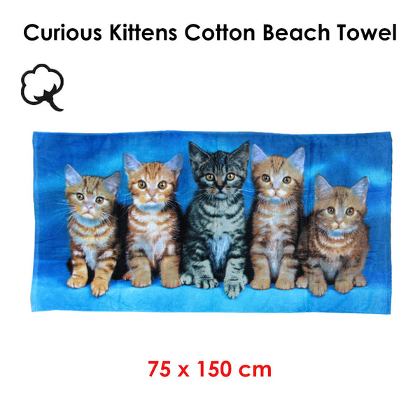 Curious Kittens Cotton Beach Towel 75 x 150cm