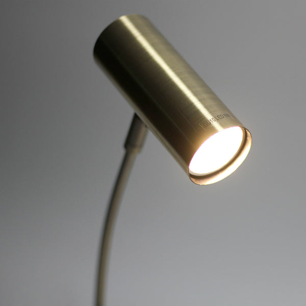 Sarla Polished Metal Desk Side Bedside End Coffee Table Lamp Light Antique Brass