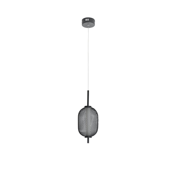 Balvir Metal Net Cage Mesh Ceiling Pendant Light Lamp LED Black