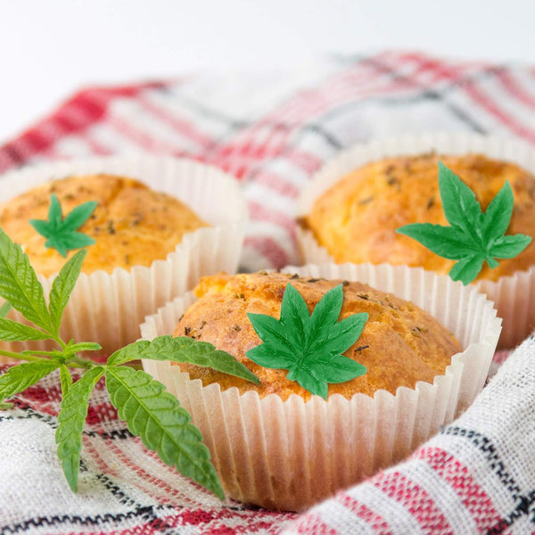 2 Pce Weed Leaf Leaves Silicone Mold Cake Fondant Chocolate Sugar Craft Pink