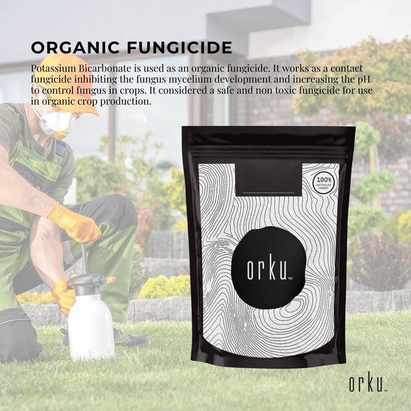 Organic Potassium Bicarbonate Powder Food Grade Pure FCC Brewing Baking 2kg
