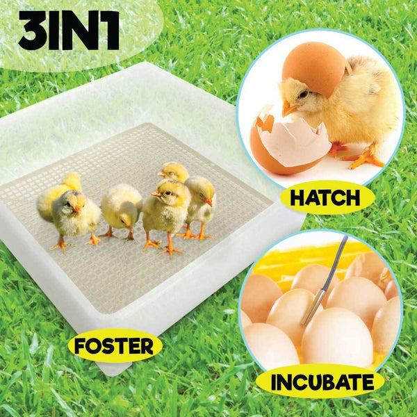 Electric 112 Egg Incubator Turner Drinker Feeder Candler Chicken Turkey Quail Duck