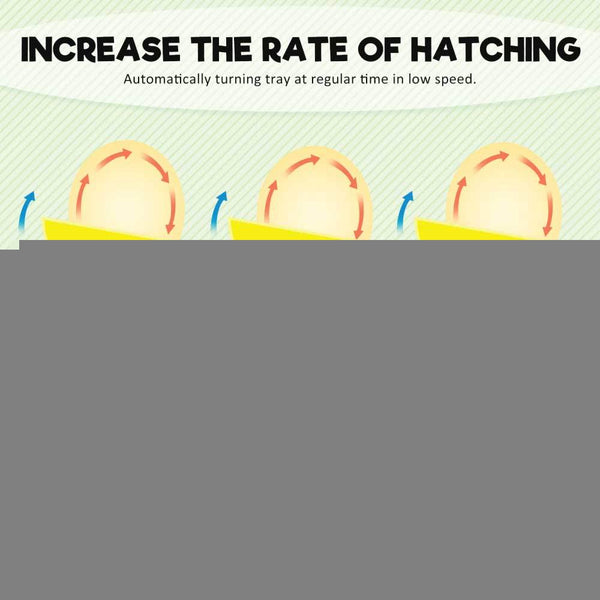 Rooster Farms Electric 96 Egg Incubator + Accessories for Chicken Quail Duck