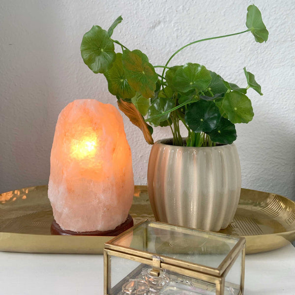 Himalayan Pink Salt Lamp Carved Rock Crystal Light 1 - 2kg 12V 12W