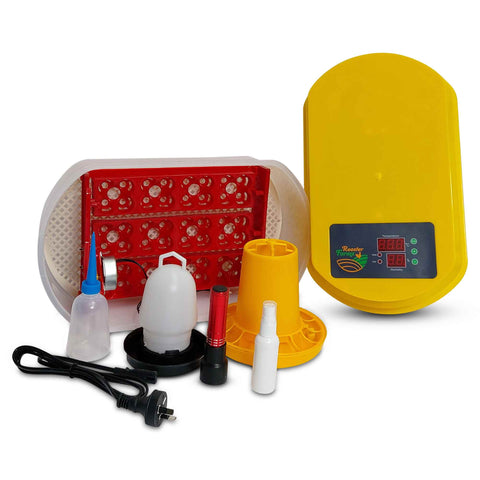 Electric 12 Egg Incubator Turner Drinker Feeder Candler Chicken Turkey Quail Duck