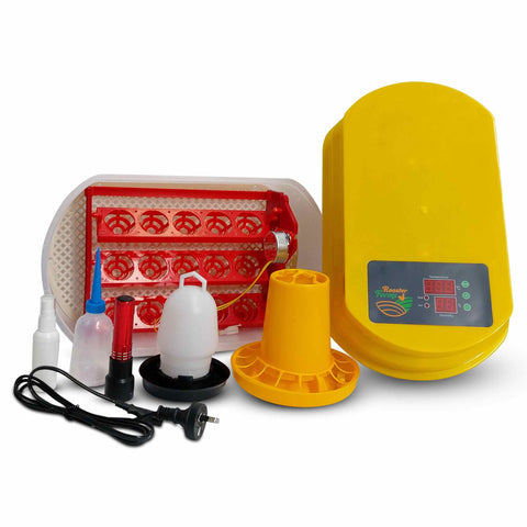 Electric 15 Egg Incubator Turner Drinker Feeder Candler Chicken Turkey Quail Duck