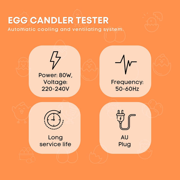 Electric 24 Egg Incubator Turner Drinker Feeder Candler Chicken Turkey Quail Duck