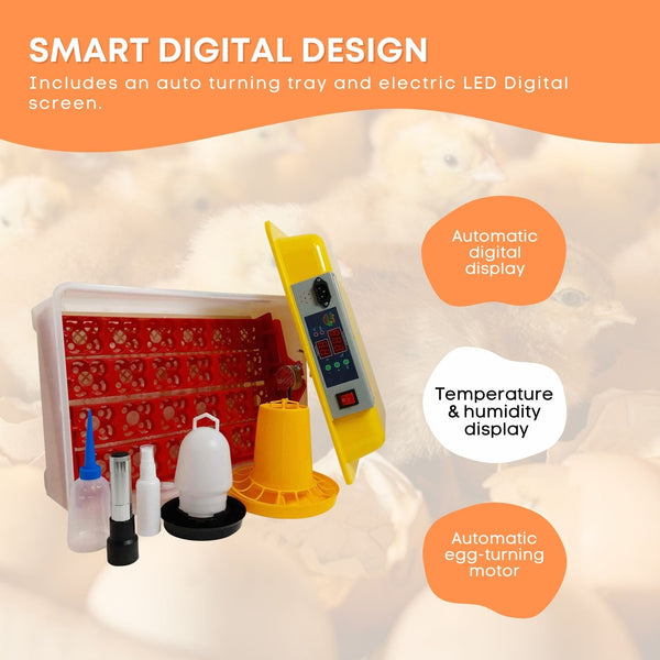 Electric 24 Egg Incubator Turner Drinker Feeder Candler Chicken Turkey Quail Duck