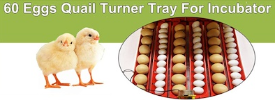 Electric 60 Egg Incubator Turner Drinker Feeder Candler Chicken Turkey Quail Duck