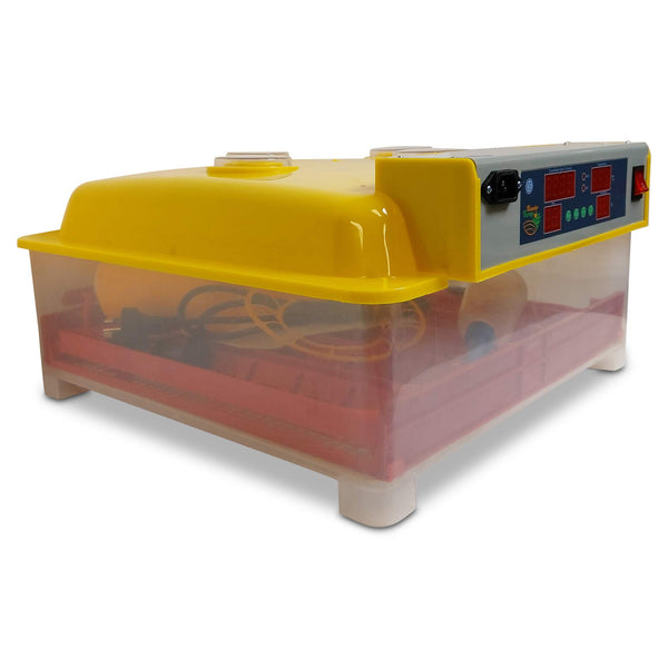 Rooster Farms Electric 60 Egg Incubator + Accessories for Chicken Quail Duck