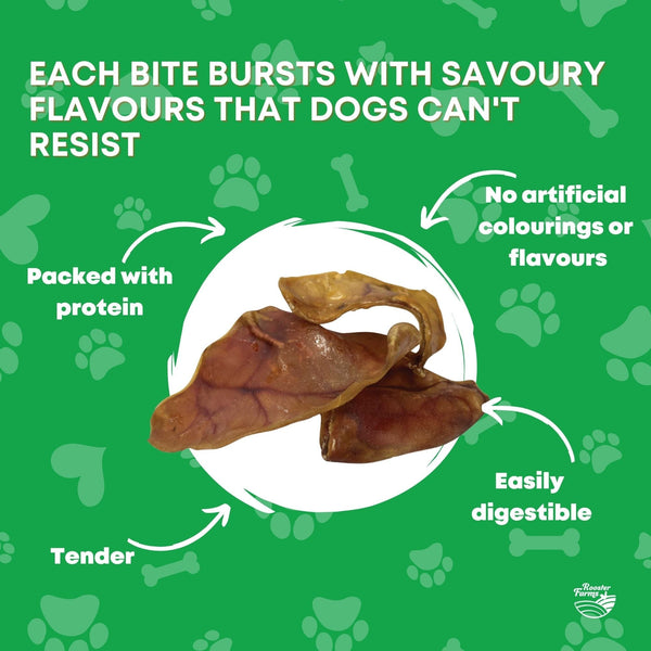10x Large Pig Ears Dog Puppy Treat Chew Dehydrated Australian Healthy
