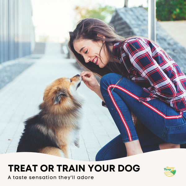 Beef Liver Dog Puppy Treat Chew Dehydrated Australian Healthy 2kg