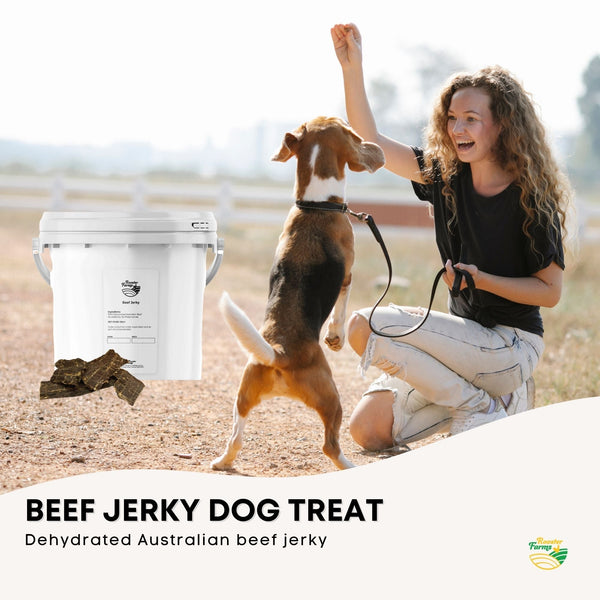 Beef Jerky Dog Puppy Treat Chew Dehydrated Australian Healthy 700g