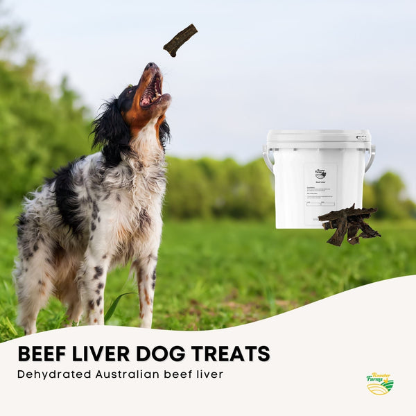 Beef Liver Dog Puppy Treat Chew Dehydrated Australian Healthy 1kg