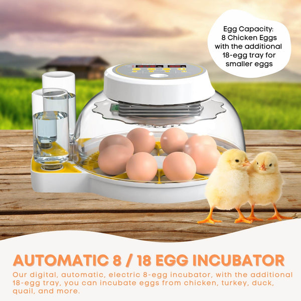 Electric Battery Backup 8 + 18 Egg Incubator Turner Candler Chicken Turkey Quail Duck
