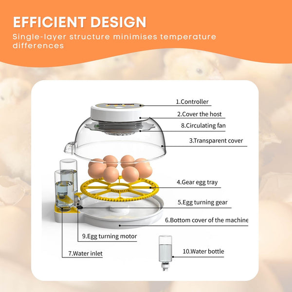 Electric Battery Backup 8 + 18 Egg Incubator Turner Candler Chicken Turkey Quail Duck