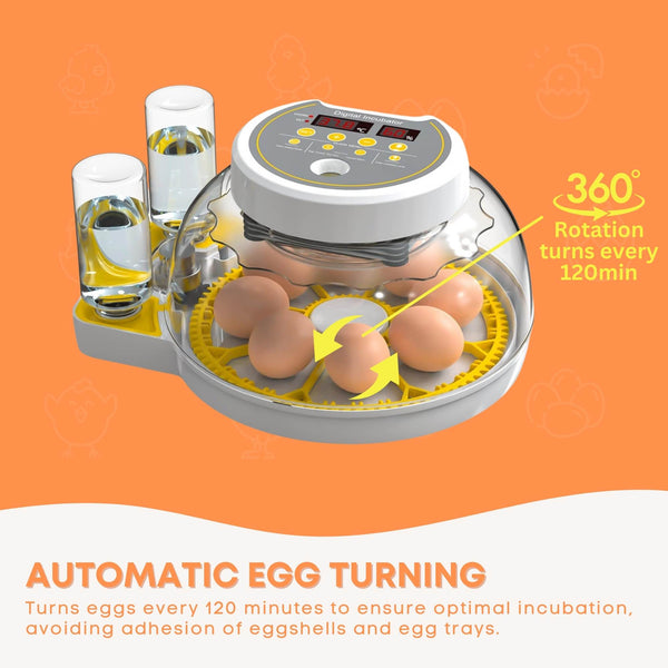 Electric Battery Backup 8 + 18 Egg Incubator Turner Candler Chicken Turkey Quail Duck