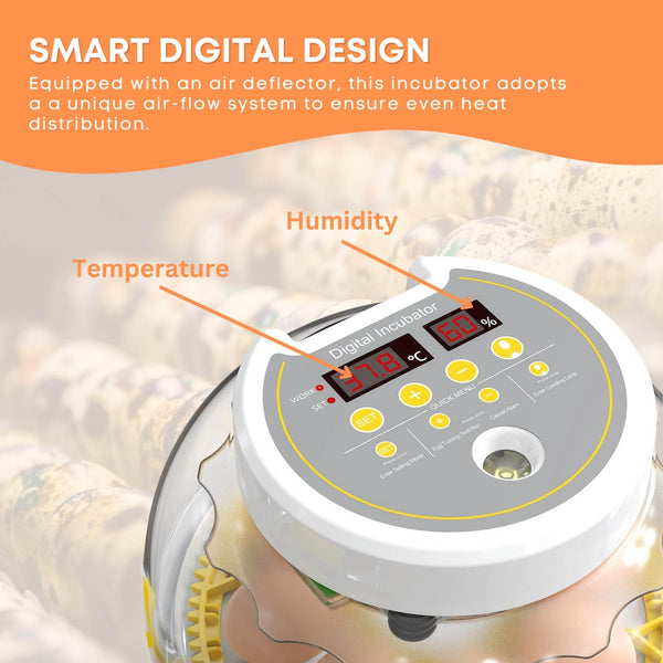Electric Battery Backup 8 + 18 Egg Incubator Turner Candler Chicken Turkey Quail Duck