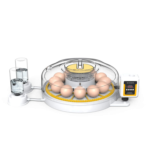 Automatic Digital 12 Egg Incubator Turning Electric Battery Chicken Quail Duck