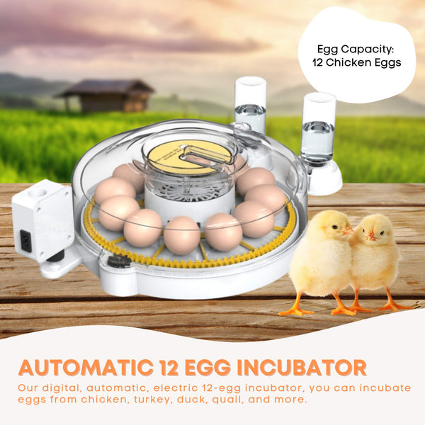 Automatic Digital 12 Egg Incubator Turning Electric Battery Chicken Quail Duck