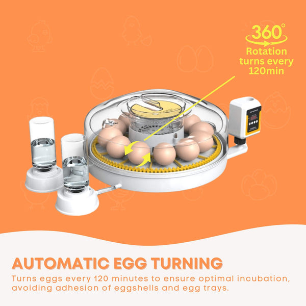 Automatic Digital 12 Egg Incubator Turning Electric Battery Chicken Quail Duck