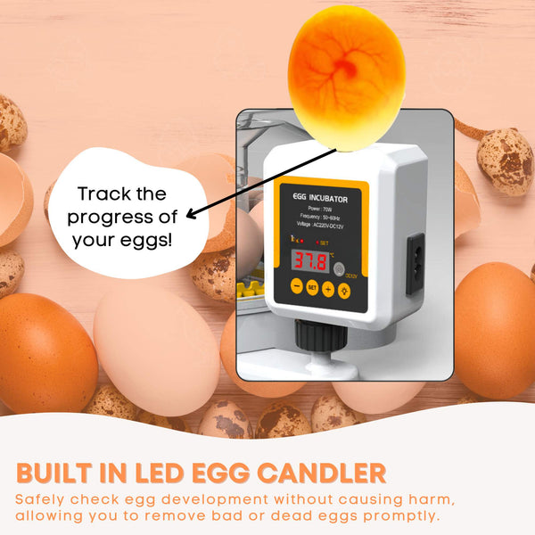 Automatic Digital 12 Egg Incubator Turning Electric Battery Chicken Quail Duck