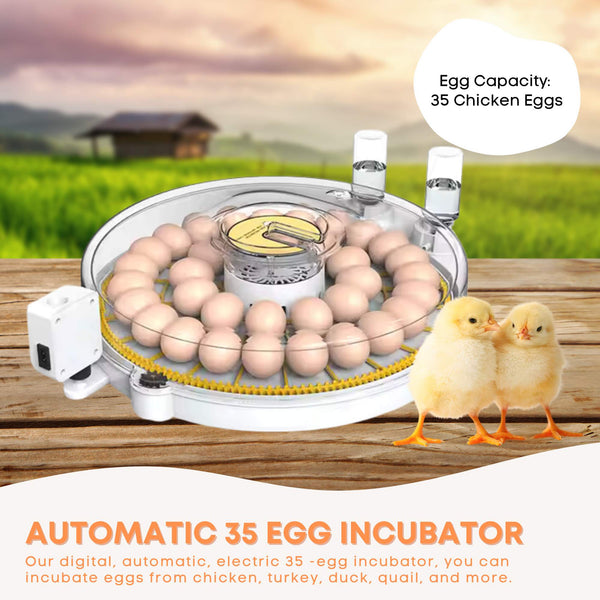 Automatic Digital 35 Egg Incubator Turning Electric Battery Chicken Quail Duck