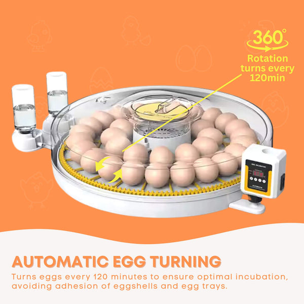 Automatic Digital 35 Egg Incubator Turning Electric Battery Chicken Quail Duck