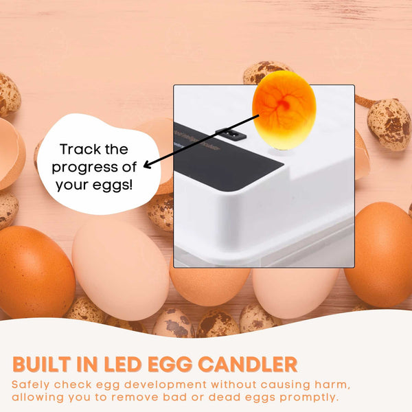 48 Egg Incubator Automatic Electric Digital Turning Chicken Quail Duck Hatching