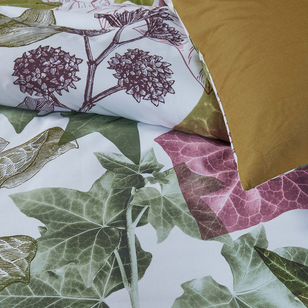 Bedding House Ivy Leaves Multi Cotton Percale Quilt Doona Duvet Cover Queen