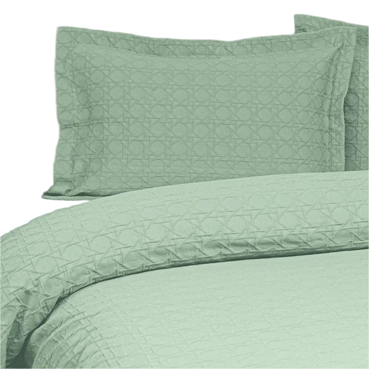 Jason Villa Embossed Matelasse Bedspread Comforter Coverlet Sage Queen King