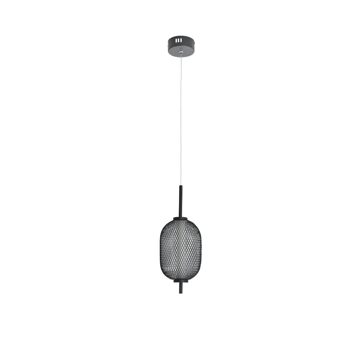 Balvir Metal Net Cage Mesh Ceiling Pendant Light Lamp LED Black