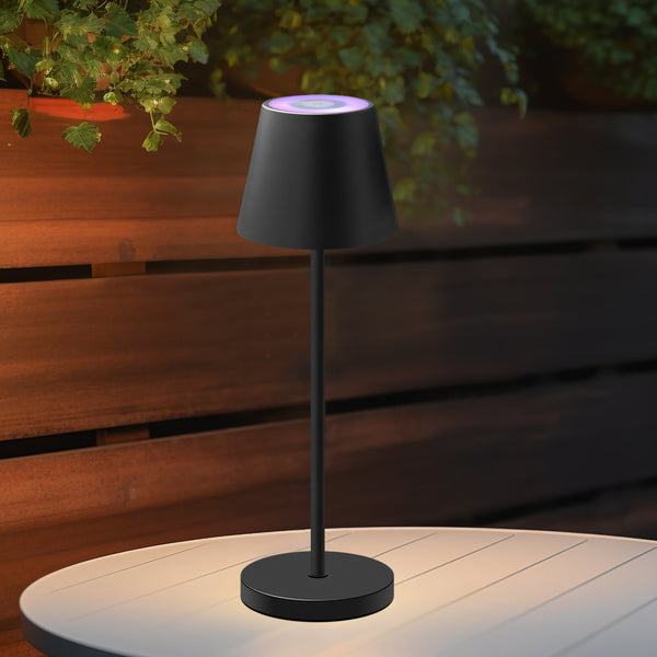 Enoki Dimmable Portable Indoor Outdoor RGB Table Lamp Light Battery Black