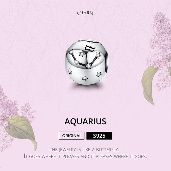 Aquarius Zodiac Constellation Sterling Silver Zircon CZ Bead Charm Bracelet Necklace