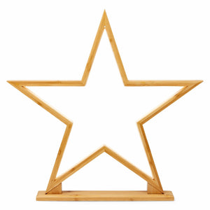 Bamboo Star LED Bedside Side End Coffee Table Lamp Light 52cm