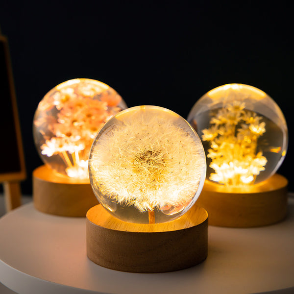 3D Resin Crystal Sphere Ball Wooden Base Preserved Flower Lamp Light Dandelion