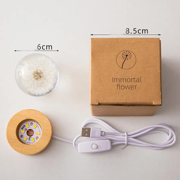 3D Resin Crystal Sphere Ball Wooden Base Preserved Flower Lamp Light Dandelion
