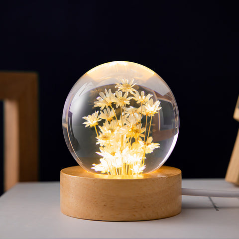 3D Resin Crystal Sphere Ball Wooden Base Preserved Flower Lamp Light Daisy