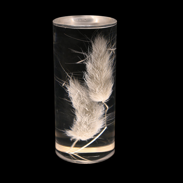 Eternal Flower LED Acrylic Table Lamp Light Color Change USB Dogtail