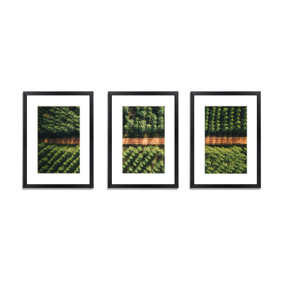 3 Piece A3 Photo Picture Painting Frame Collage Feature Wall Set Black