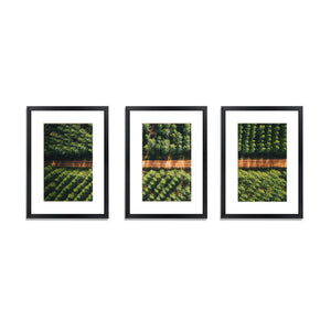3 Piece A3 Photo Picture Painting Frame Collage Feature Wall Set Black
