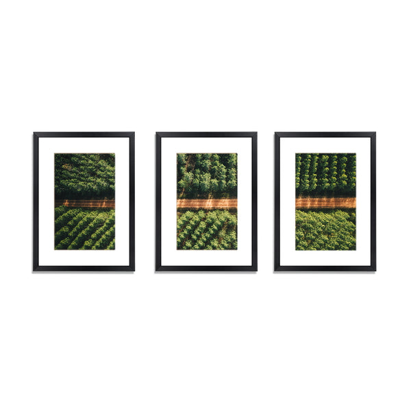 3 Piece A3 Photo Picture Painting Frame Collage Feature Wall Set Black
