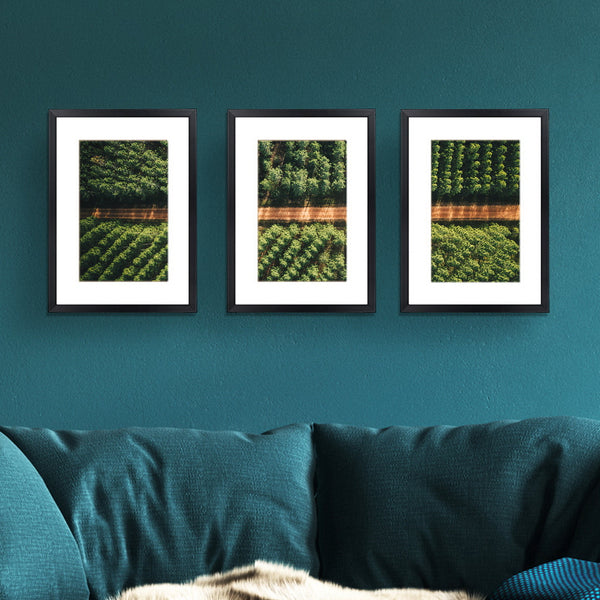 3 Piece A3 Photo Picture Painting Frame Collage Feature Wall Set Black