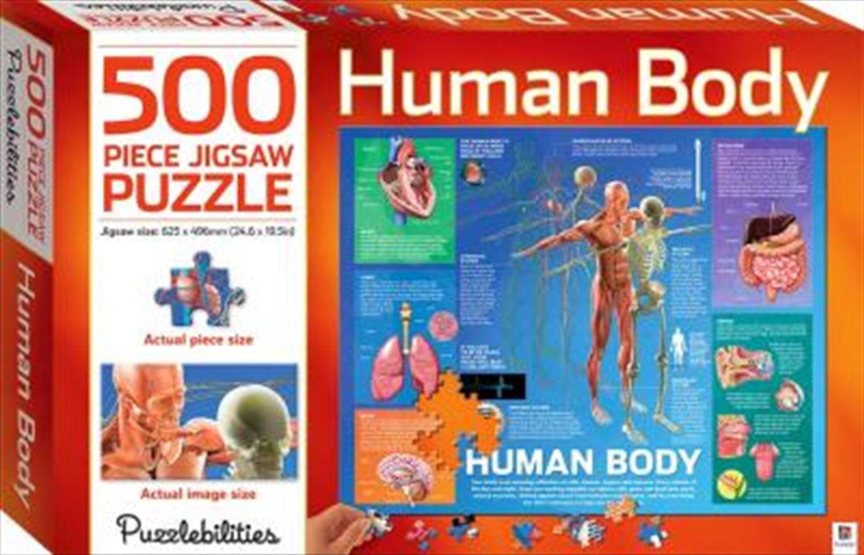 Human Body Anatomy 500 Piece Jigsaw Puzzle