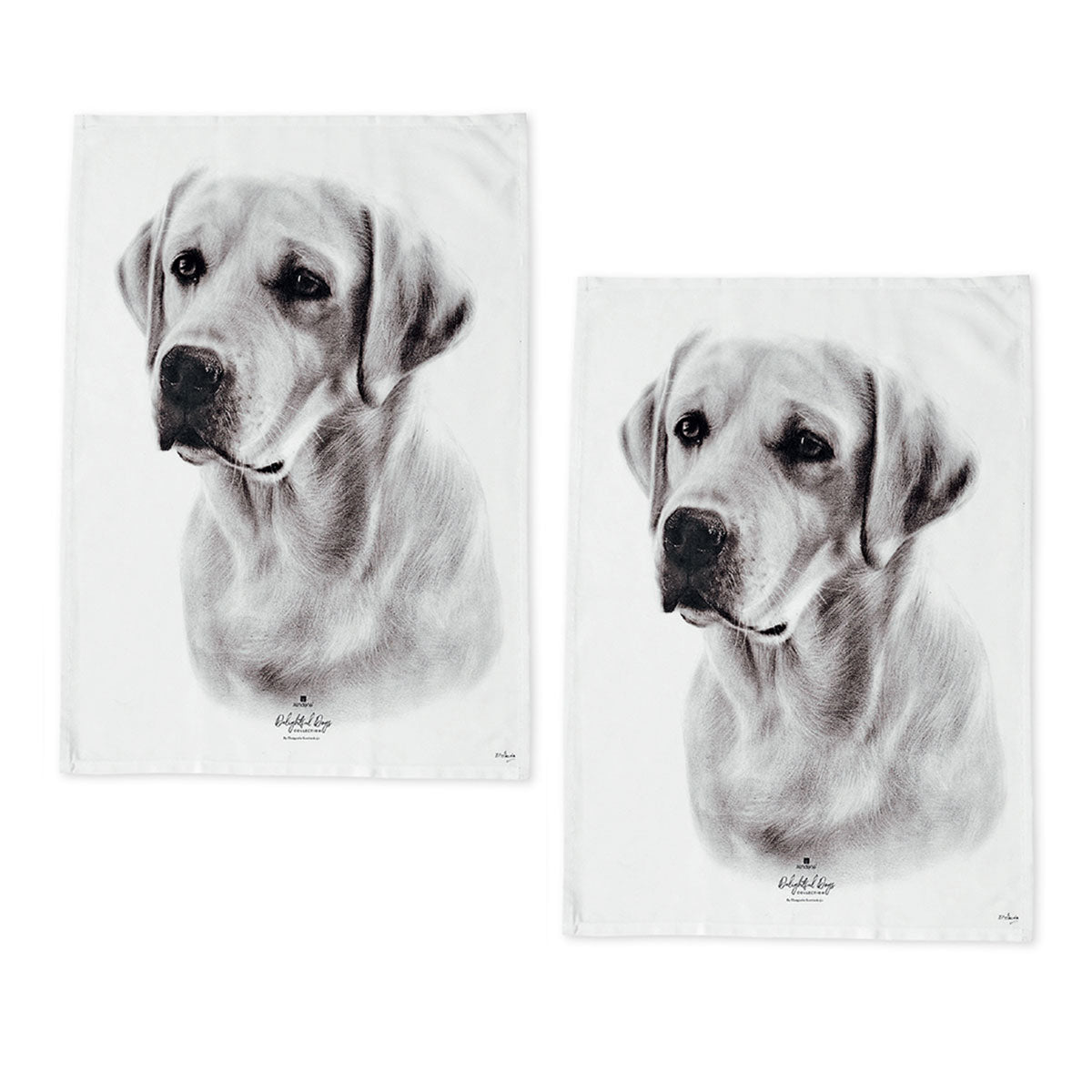 Set of 2 Labrador Dogs Cotton Kitchen Tea Towels 50 x 70cm